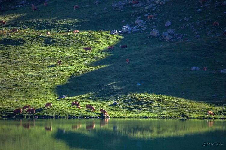 Refuge Entre le Lac - Evasion au bord du lac de la Plagne - Rando 2 jours
