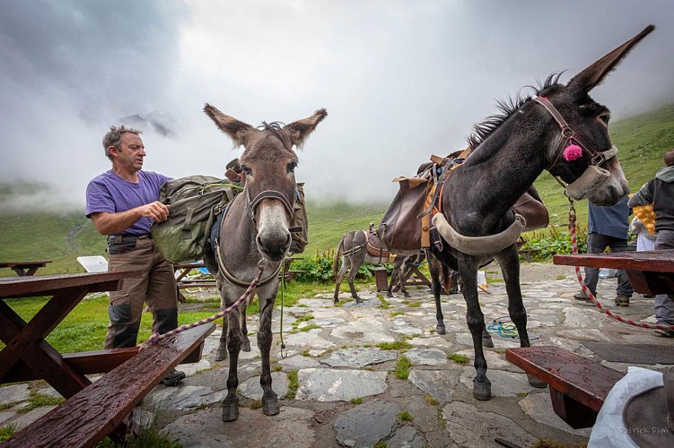Refuge Entre le Lac - Evasion au bord du lac de la Plagne - Rando 2 jours