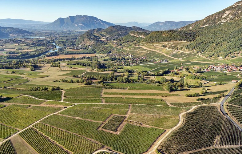 Vignobles de Jongieux