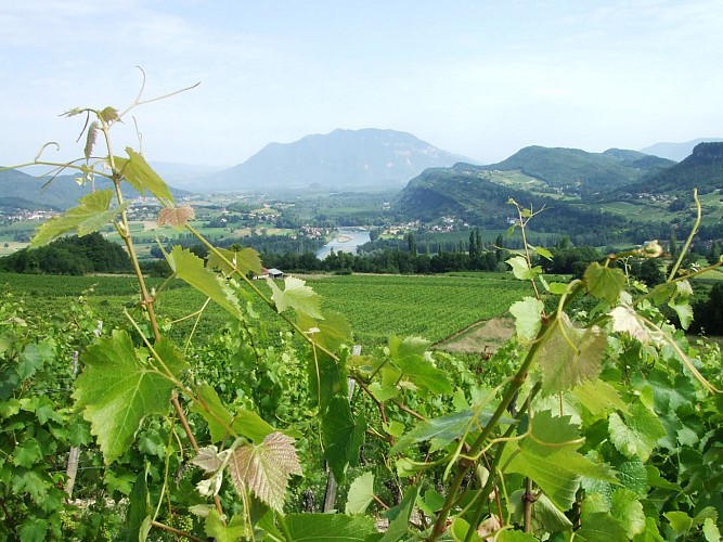 Compostelle Savoie - Etappe 2 - Van Chanaz naar Yenne