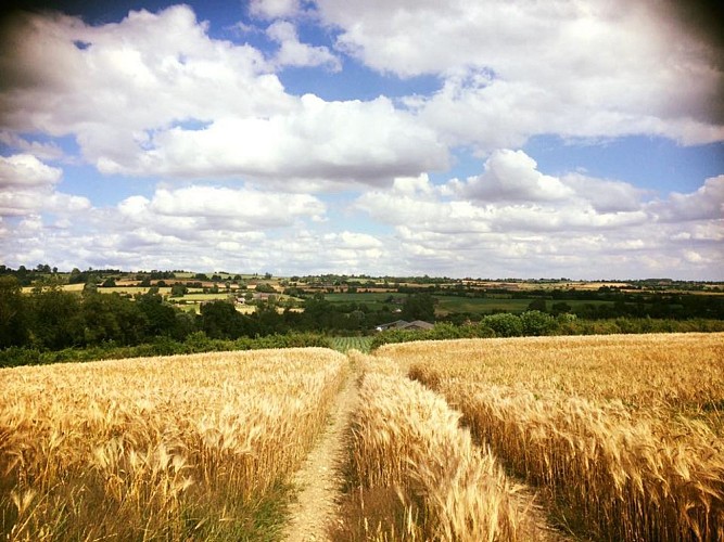 Rando BEAUBEC LA ROSIERE : Nos villages typiques du Pays de Bray- Normandie