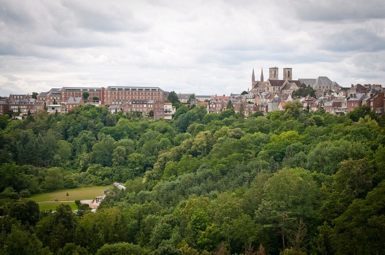 Eglise Saint Martin et Cuve Saint-Vincent vus des remparts