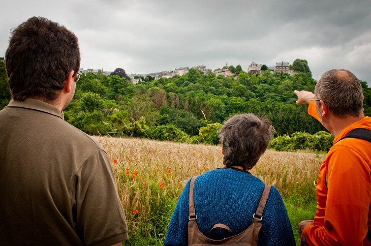 La ville haute de Laon vue de la cuve Saint Vincent