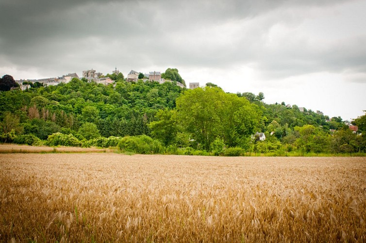La ville haute de Laon vue de la cuve Saint Vincent