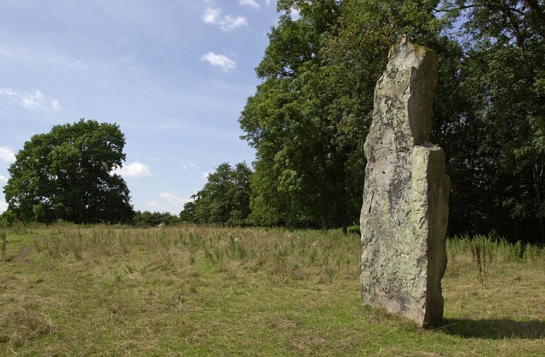 Verziau de Gangantua à Bois-les-Pargny_SLefebvre