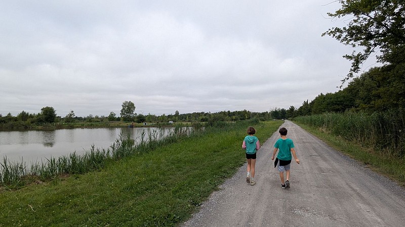 Marais de Pierrepont II &lt; Pierrepont &lt; Aisne &lt; Picardie