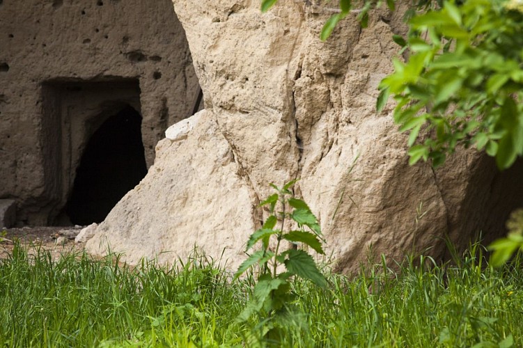 Le Jardin des Poilus de Paissy-47468