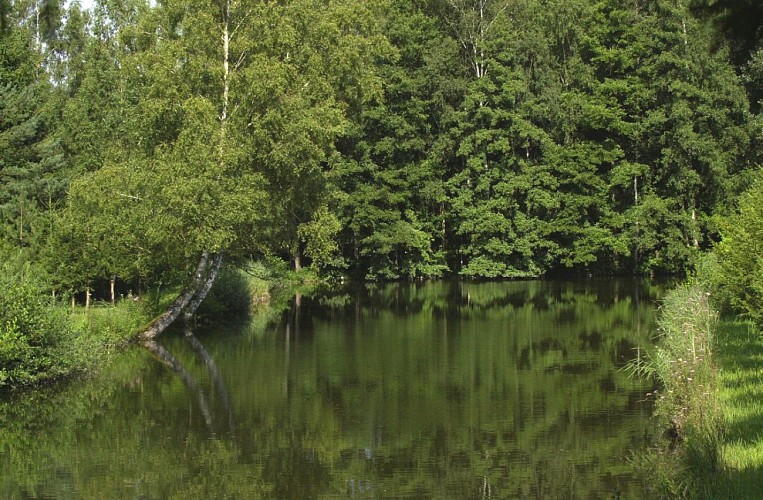 Petits étangs privés