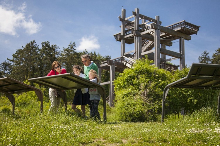La tour-observatoire du Plateau de Californie à Craonne-38210