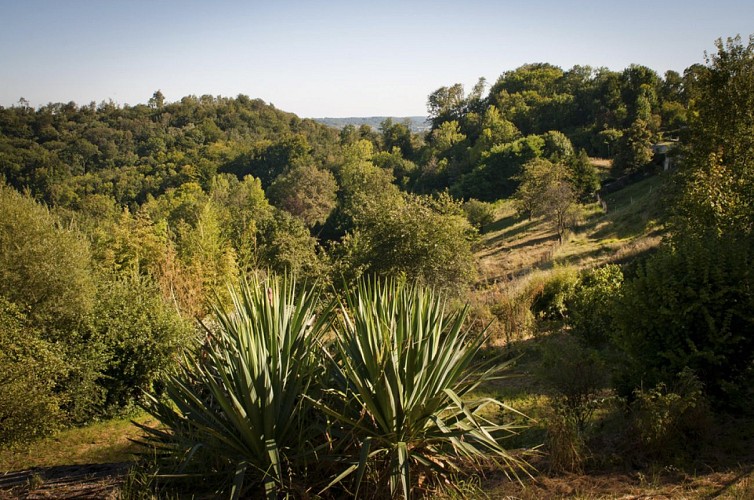 Le sentier des Creuttes dans le Laonnois avec Caroline Godard