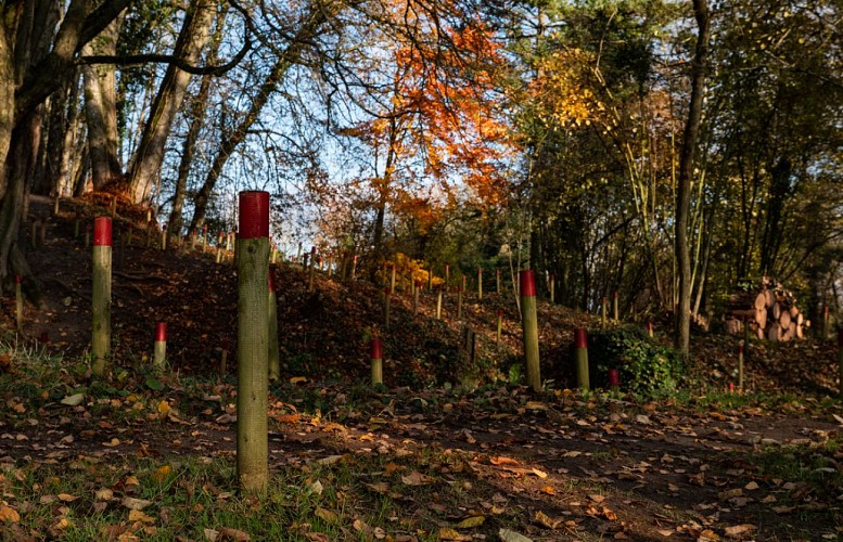 Arboretum de Craonne