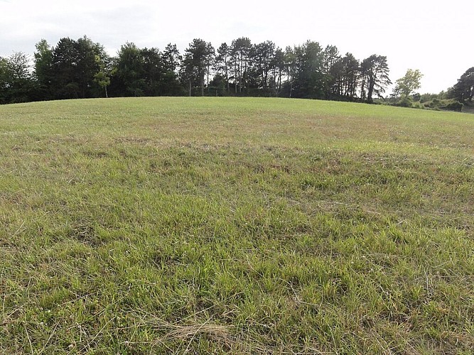 Saint-Thomas_(Aisne)_camp_des_Romains_(02)