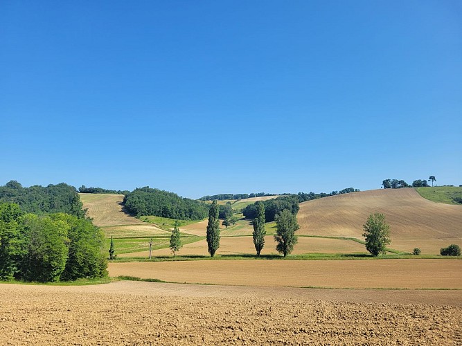 Collines et Vallées des Cabarieux - Montesquieu