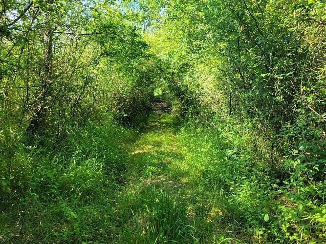 Collines et Vallées des Cabarieux - Montesquieu