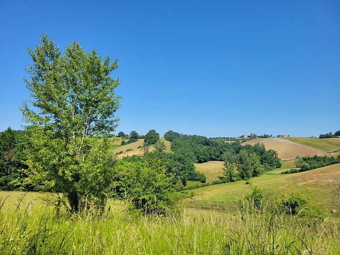 Collines et Vallées des Cabarieux - Montesquieu