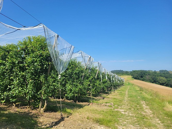 Collines et Vallées des Cabarieux - Montesquieu