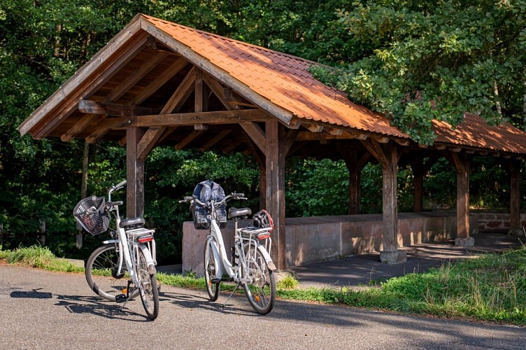 Haguenau, Vélo en forêt d'Exception