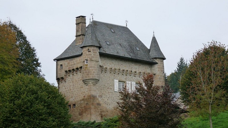 De feuilles en aiguilles