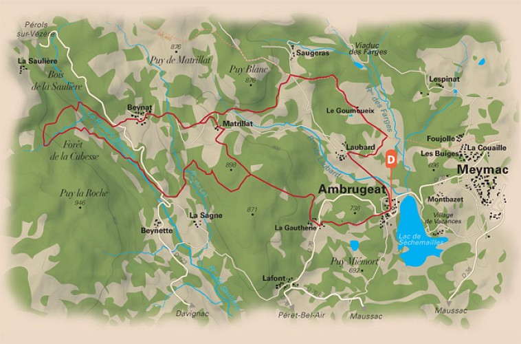 De feuilles en aiguilles