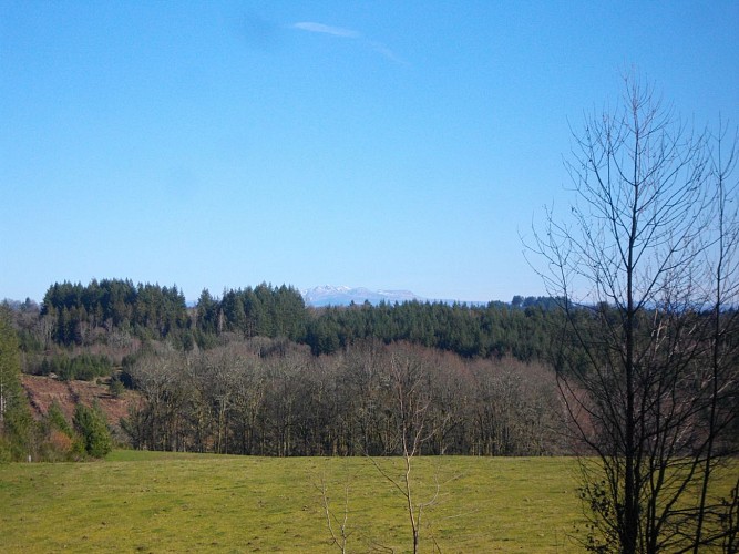 AuxRieux_Sancy
