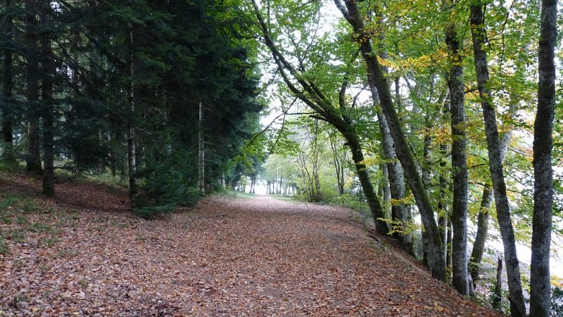 De feuilles en aiguilles (variante de 11 km)