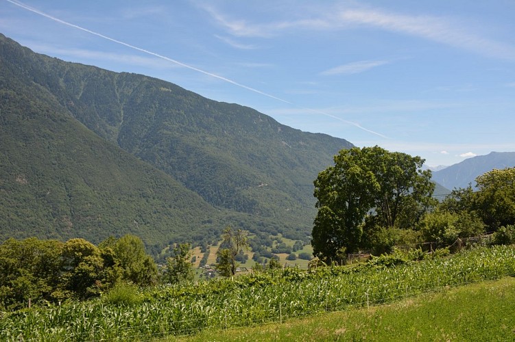 Randonnée à Beauchamps