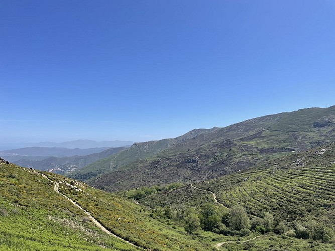 Trail 19 - Itinérance : Novella - Tartagine - L'Ile Rousse