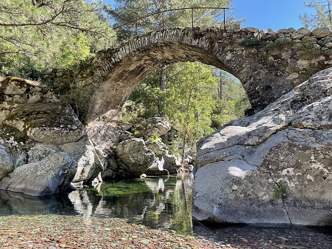 Trail 19 - Itinérance : Novella - Tartagine - L'Ile Rousse