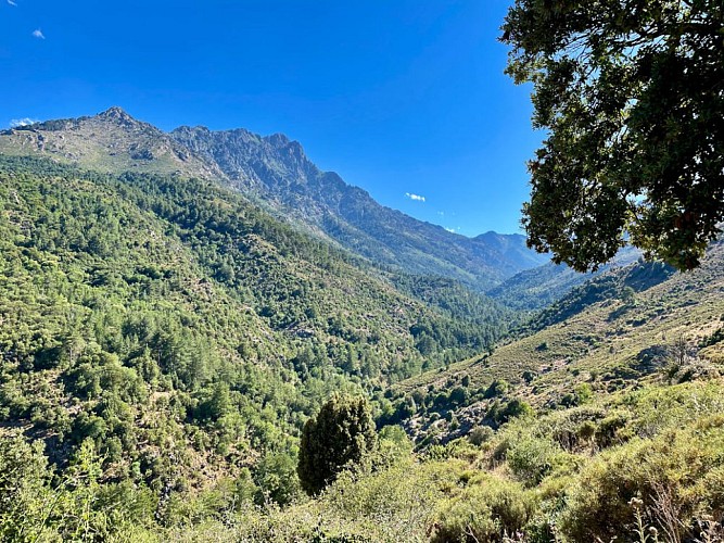 Trail 19 - Itinérance : Novella - Tartagine - L'Ile Rousse