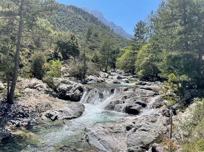 Trail 20 - Itinérance : L'Ile-Rousse - Tartagine - L'Ile-Rousse