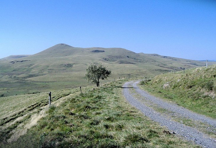 Tour des Vaches Rouges - Main itinerary in 9 days via Vèze - Departure from Allanche, Cantal