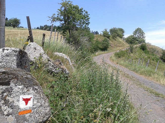 Sur le chemin après le Bac-Haut