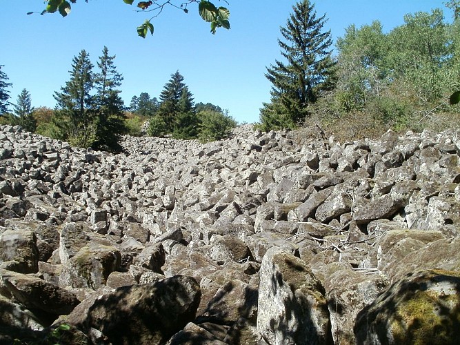 Tour des vaches rouges - Espace Naturel Sensible de la roche de Landeyrat