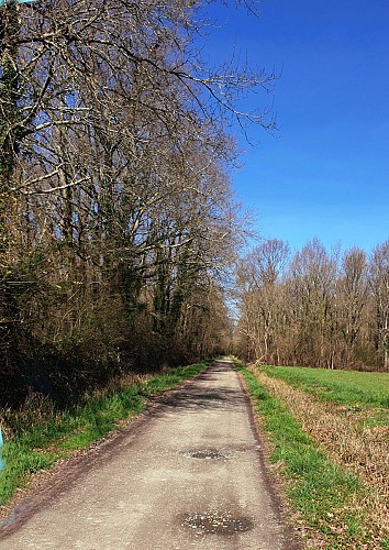 Sentier de l'Adour de Artagnan à Maubourguet