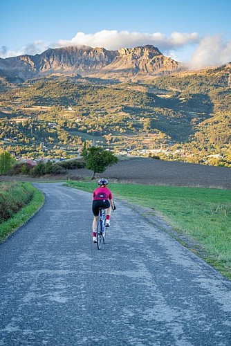 Discovering Les Olliviers