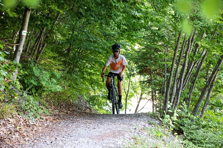 Loop 61 - Le Boscodon