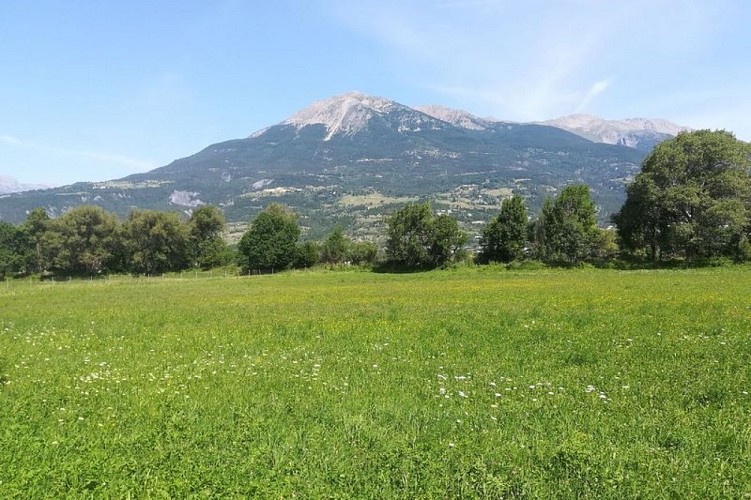 Vue sur le Mont Guillaume