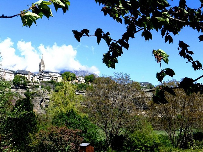 Gros plan sur le Roc