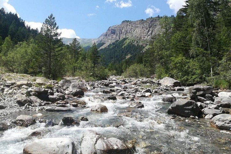 Torrent du Rabioux