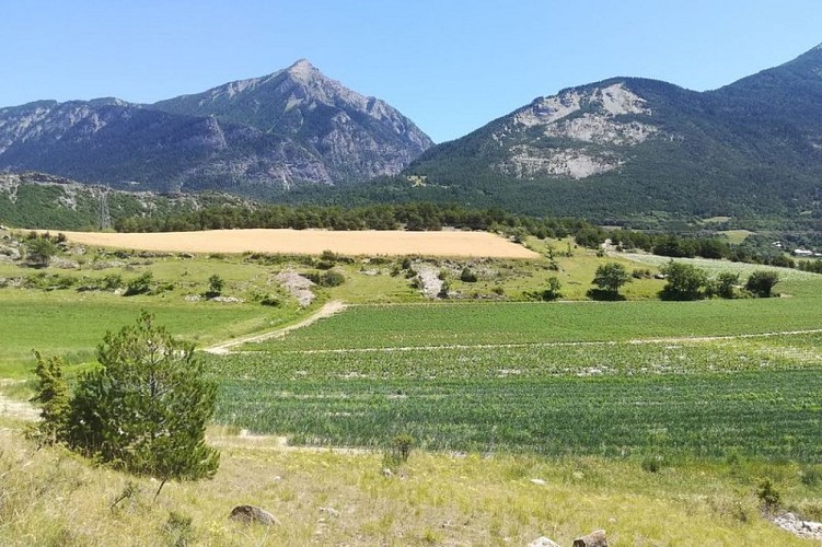 Chemin de la Durance à travers les champs