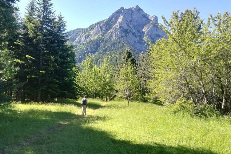 Praires de Pierre Arnoux avec vue sur le Pic de Morgon