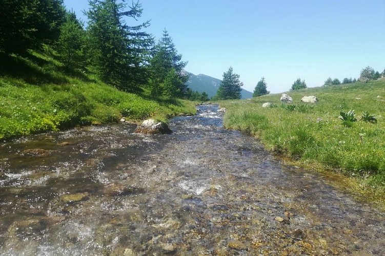 Torrent du Crachet