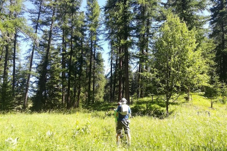 Randonneurs dans le Mélézin