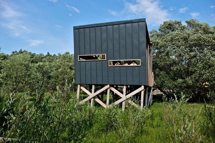 Le poste d'observation en fin de parcours