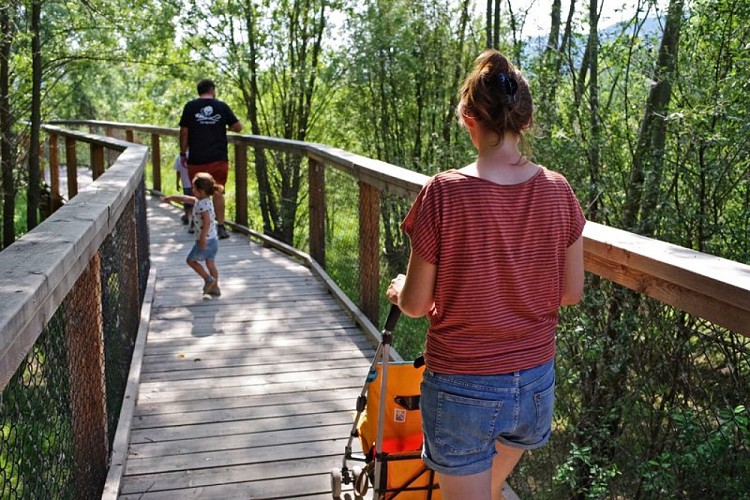 Le sentier sur pilotis