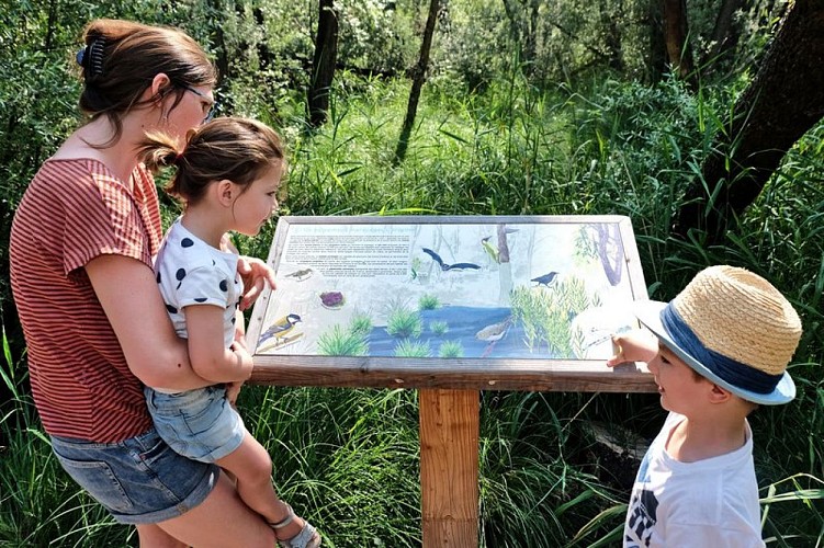 Les panneaux d'informations le long du sentier