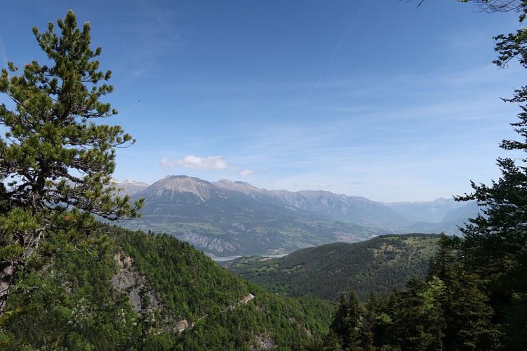 Vallée de la Durance depuis le belvédère du Colombier