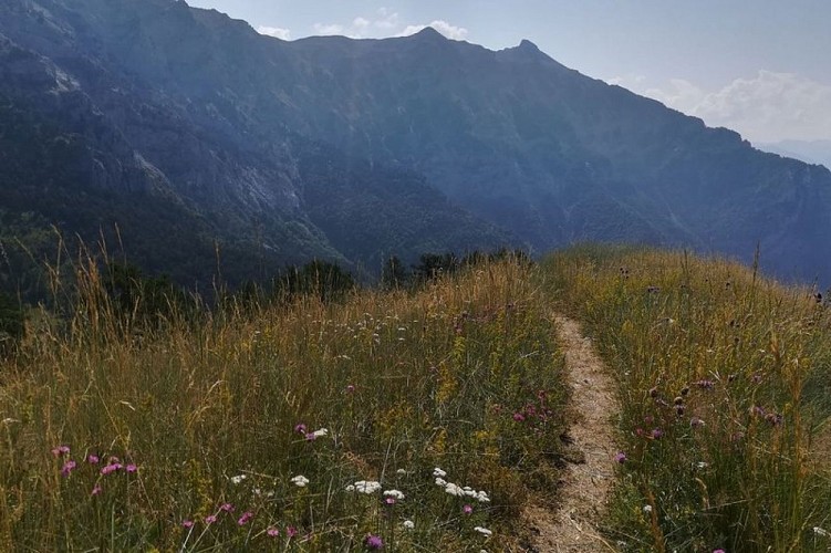 Sur le sentier du Col du Morgonnet