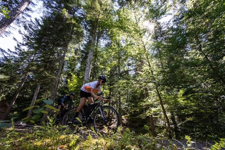 Le tour du lac de Serre-Ponçon - Gravel
