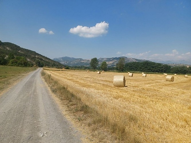 Rousset - Réallon (sterrato TSP)